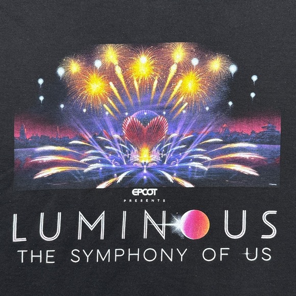 Disney Hoodie Mens Medium Faded Black Luminous Symphony of Us Epcot Pullover * - Picture 2 of 7